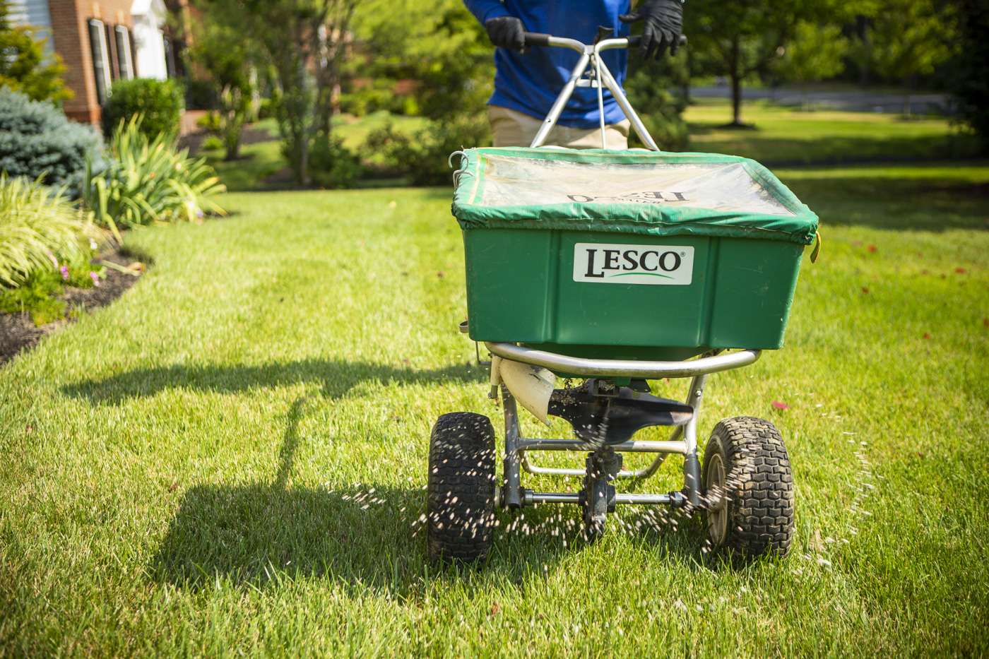 How Much Does Lawn Care Cost in Ashburn, Aldie, or